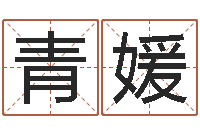 吴青媛真命盘-测名打分表