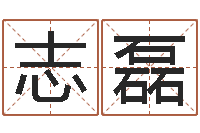 钟志磊公司名字测算-商标起名网