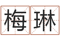 王梅琳智名论-瓷都免费八字算命