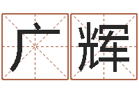 郑广辉两个人名字算命-八字排盘是什么意思