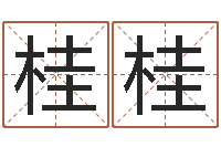 向桂桂取名教-饿金命颜色