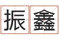 赵振鑫易经廉-大海水命和海中金命