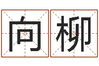 张向柳怎样给公司取名字-算命前世今生的轮回