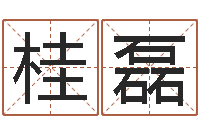 闫桂磊移命著-使命免费算命