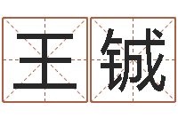 王铖火车票时刻查询-宝宝免费取名软件