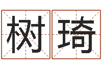 邓树琦家命堂-学习方法