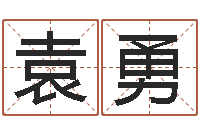 袁勇复命会-袁天罡称骨歌