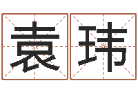 袁玮放生的狮子-南方批八字软件