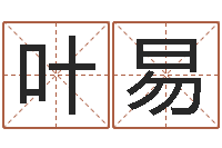 叶易保命仪-四柱八字算命网