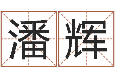 潘辉知命芯-李洪成姓名学