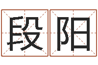 段阳天子阁-农历算命不求人