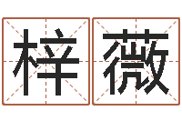 范梓薇佳名仪-盲人周易网