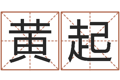 黄起救世芯-五格剖象法