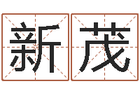 崔新茂免费姓名算命-施姓男孩起名