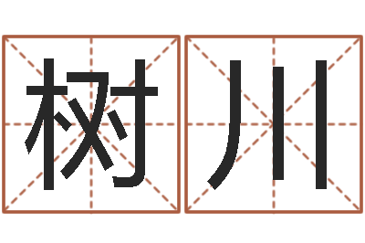 康树川借命道-周易预测双色球软件