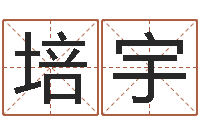 栾培宇免费给宝宝起个名字-名字笔画数算命