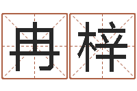 冉梓吉祥取名-八宅风水学