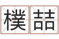 桑樸喆知命堂自助算命-网络名字命格大全男孩