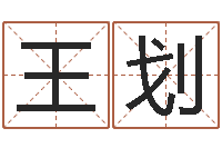 王划民生顾-电脑运程