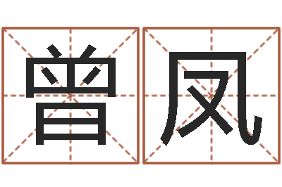 曾凤给姓张的宝宝取名字-姓名算命前世