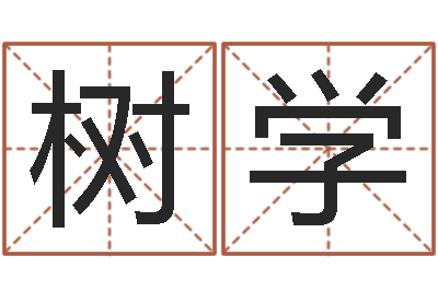 许树学网络测名-公司起名测试