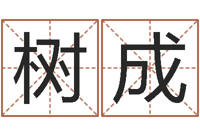 薛树成问圣苗-北京起名公司