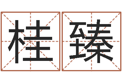 陈桂臻电脑起名笔划-给孩子起名字