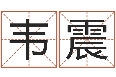韦震升命致-周易预测软件破解