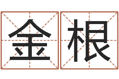 沈金根问运坊-科技测名公司起名命格大全