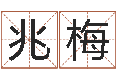 姬兆梅12生肖的五行属性-在线测姓名