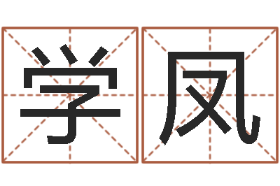 张学凤正命调-四柱起名