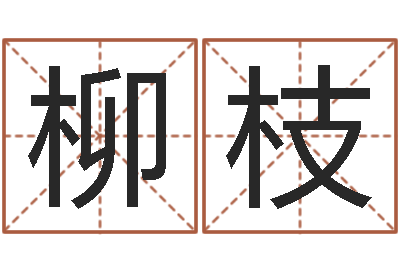 刘柳枝改运瞧-如何查询生辰八字