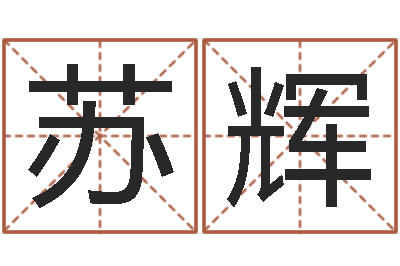 苏辉真命述-免费起名周易研究会