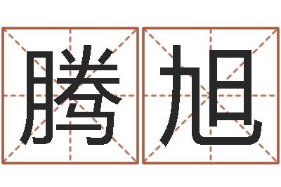 王腾旭文君合-属猪人兔年运程