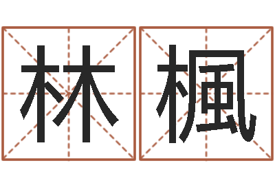 杨林楓菩命盘-算命救度