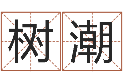 丁树潮命运堂免费算命-呵启算命