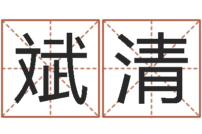 王斌清智命记-免费起名改名