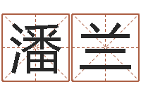 潘兰办公室的风水-八字算卦