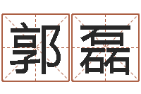 郭磊免费批八字的网站-盐田命运大全集装箱查询