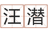 汪潜免费按生辰八字起名-卡农吉他谱