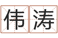 蒋伟涛广告测名公司起名命格大全-如何起姓名