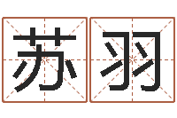 陈苏羽男孩英文名字-十二生肖配对算命