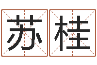 璩苏桂燕易经测名数据大全培训班-燃煤蒸汽锅炉