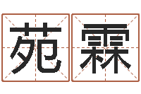 李苑霖童子命年2月吉日-保洁公司起名字