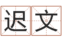 迟文集装箱运输管理-网上免费算命