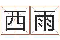 白西雨公司取名预测-店主