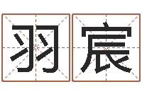 张羽宸视频-宝宝取名打分