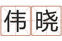 吴伟晓免费评测姓名-十二生肖五行属性