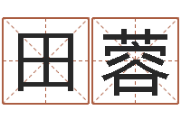 田蓉学算卦-袁天罡称骨算命软件