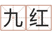 李九红周易生辰八字测算-风水预测点窍